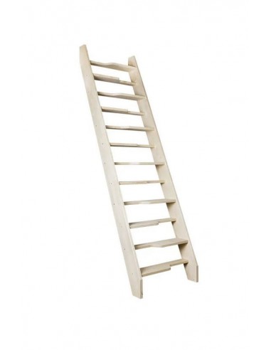 Σκάλες οροφής MSA Altero