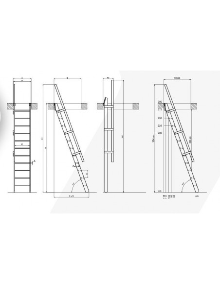 Σκάλες οροφής MSP Pivot