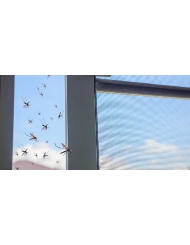 Insect screen of horizontal movement for double-leaf door 300cm X 260cm