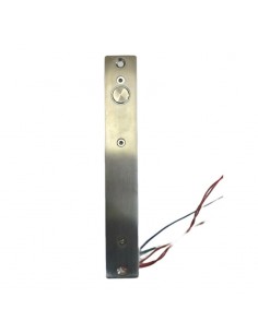 Electro-motor 700224