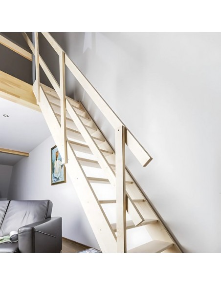 MSS Superior roof stairs 