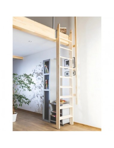 Sloping roof stairs MSP Pivot 