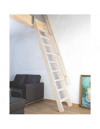 Sloping roof stairs MSP Pivot 