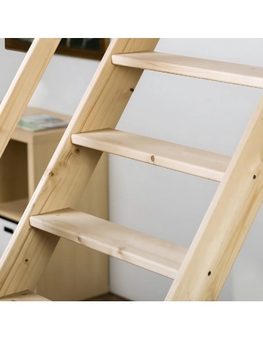 Σκάλες οροφής MSU Universal