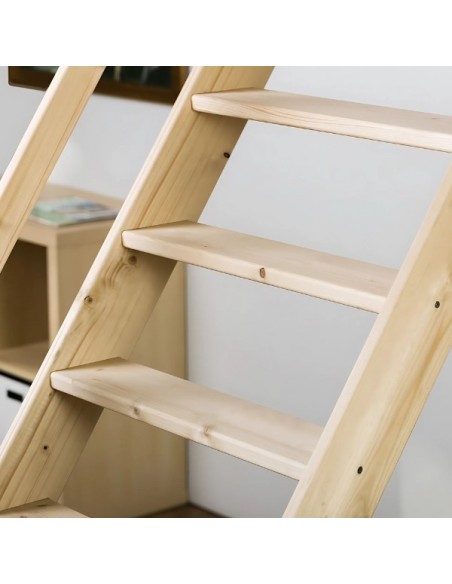 MSU Universal roof stairs