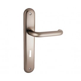 Knob handle piece with plate number C495