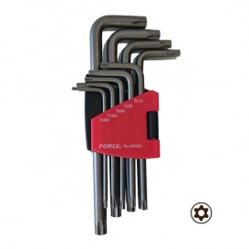 LONG ALLEN TORX FORCE WITH HOLE SET OF 9 PCS